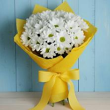 Букет цветов из:  Хризантемы в Кармаскалы