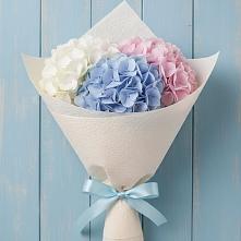 Букет цветов из:  Гортензия в Кармаскалы