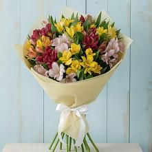 Букет цветов из:  Альстромерии в Кармаскалы