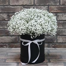 Цветочная композиция из Гипсофила в шляпной коробке в Кармаскалы