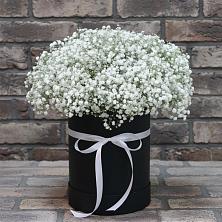 Цветочная композиция из Гипсофила в шляпной коробке в Кармаскалы