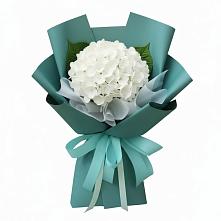 Букет цветов из:  Гортензия в Кармаскалы
